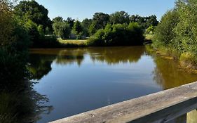 Le Nid du Teich